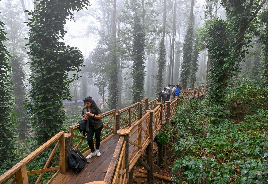 Wooden Bridge